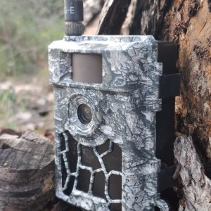 Renyn Trail Cam ( except Spain and Portugal )Shipping included